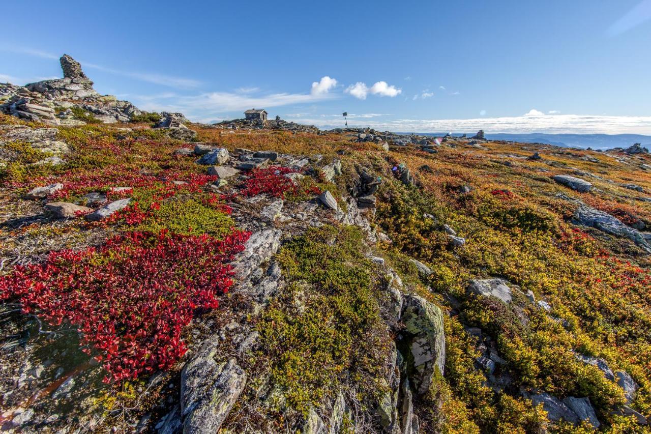 Skeikampen Leilighet, Veslesetervegen 973 F Daire Svingvoll Dış mekan fotoğraf
