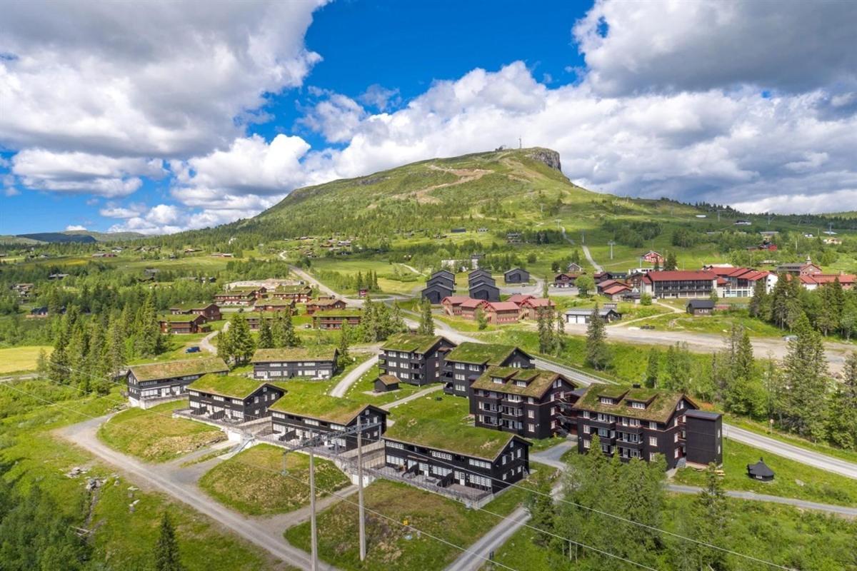 Skeikampen Leilighet, Veslesetervegen 973 F Daire Svingvoll Dış mekan fotoğraf