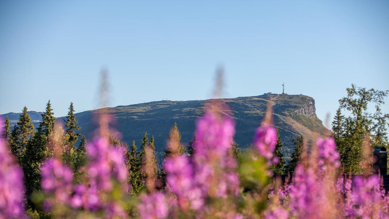 Skeikampen Leilighet, Veslesetervegen 973 F Daire Svingvoll Dış mekan fotoğraf