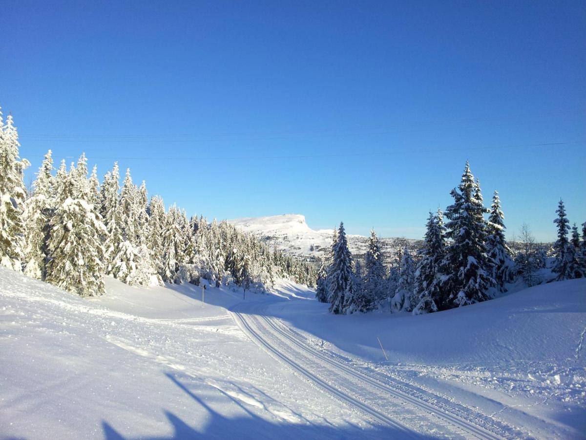 Skeikampen Leilighet, Veslesetervegen 973 F Daire Svingvoll Dış mekan fotoğraf